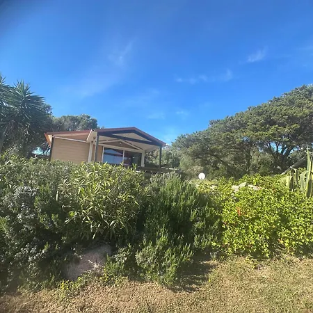 Les De La A Santa Trinita