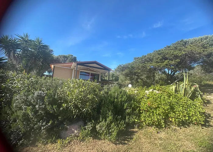 Les De La A Santa Trinita